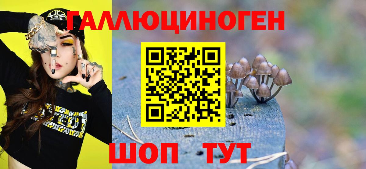 Галлюциногенные грибы ЛСД  Вход с VPN  Алапаевск 